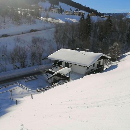 Apartment In Dienten With Mountain Views Dienten am Hochkönig Εξωτερικό φωτογραφία