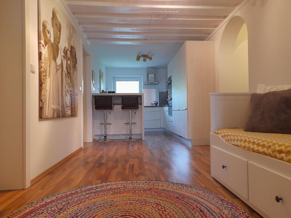Apartment In Dienten With Mountain Views Dienten am Hochkönig Εξωτερικό φωτογραφία