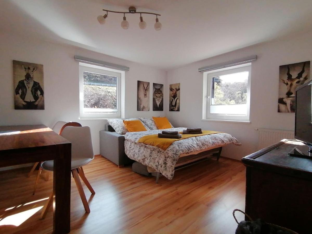 Apartment In Dienten With Mountain Views Dienten am Hochkönig Εξωτερικό φωτογραφία